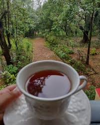 A warm cup of herbal tea beside a rain-streaked window at dusk